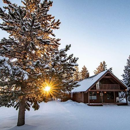 Yellowstone Cozy Caldera Cabin Айленд-Парк Екстер'єр фото