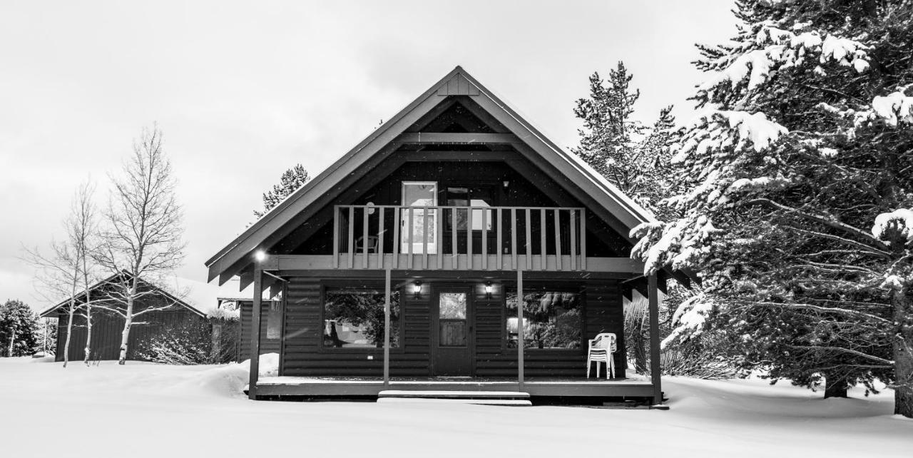 Yellowstone Cozy Caldera Cabin Айленд-Парк Екстер'єр фото